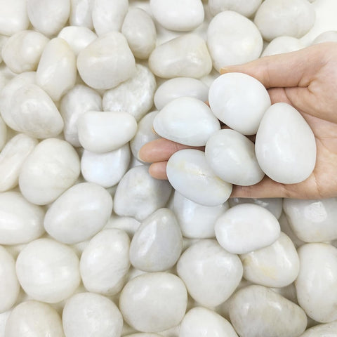 Polished White Pebbles