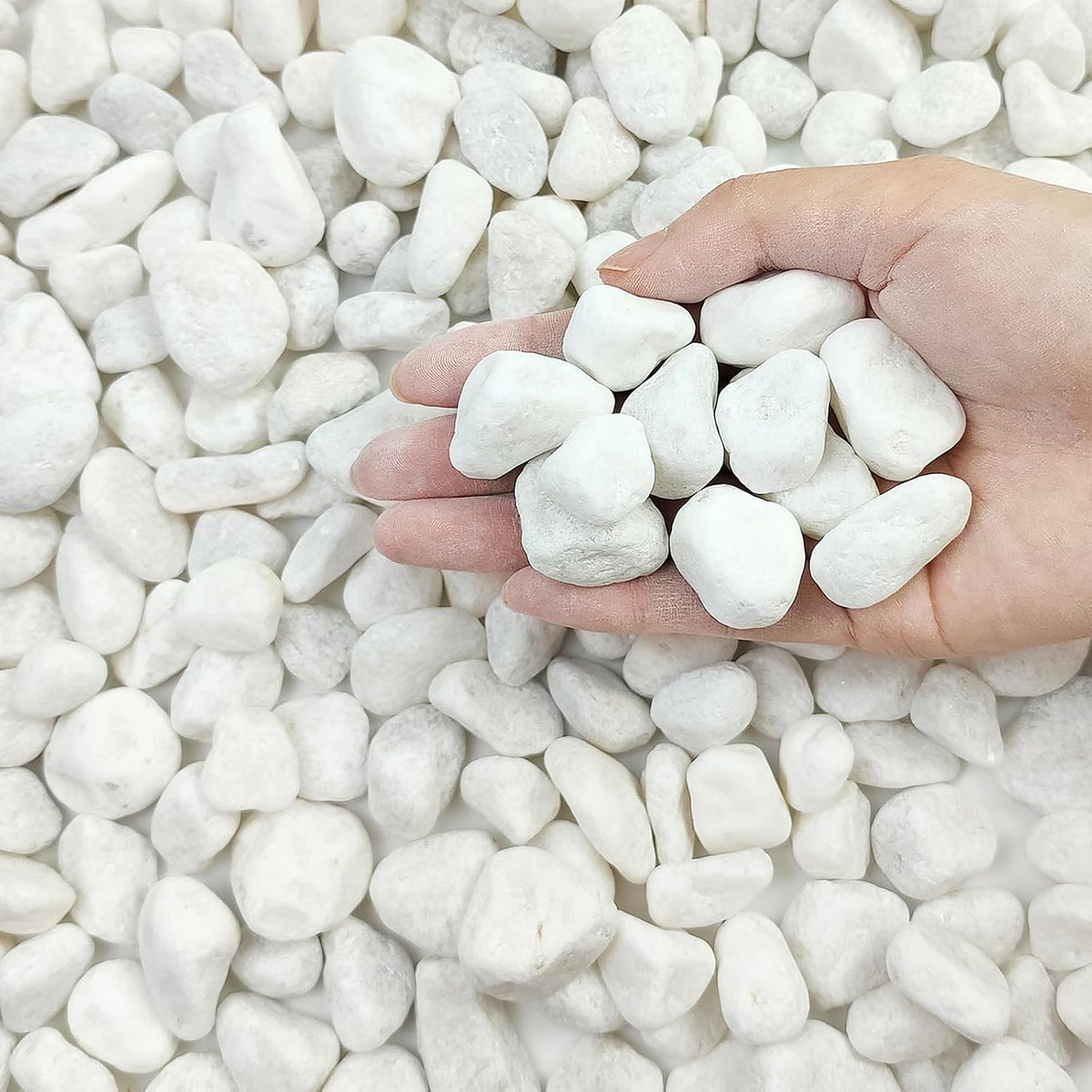 White river rock