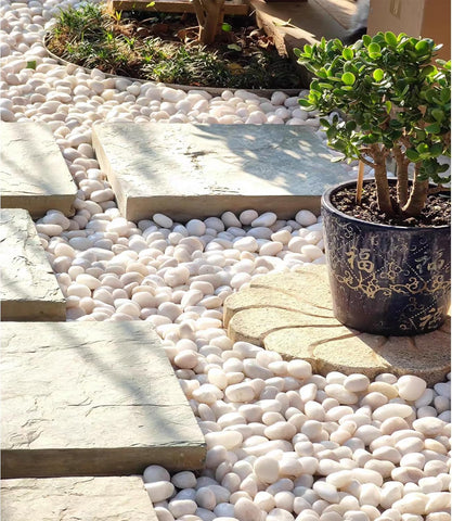100% Natural Polished Pebbles