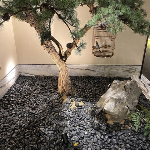 Polished Black Pebbles